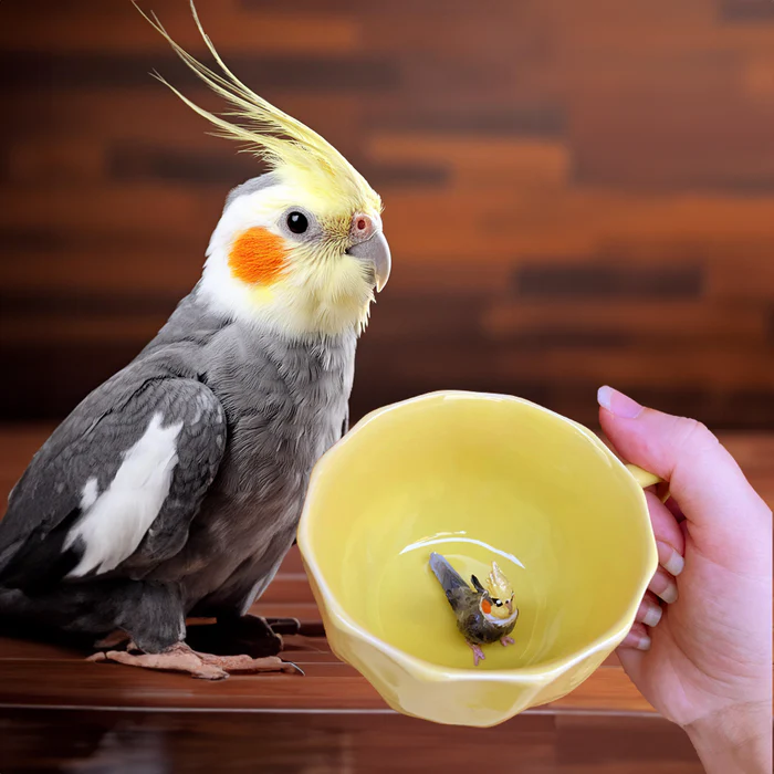 Caneca Looneca personalizada