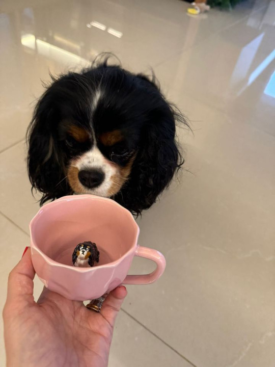 Avaliação de Milena Pessatto