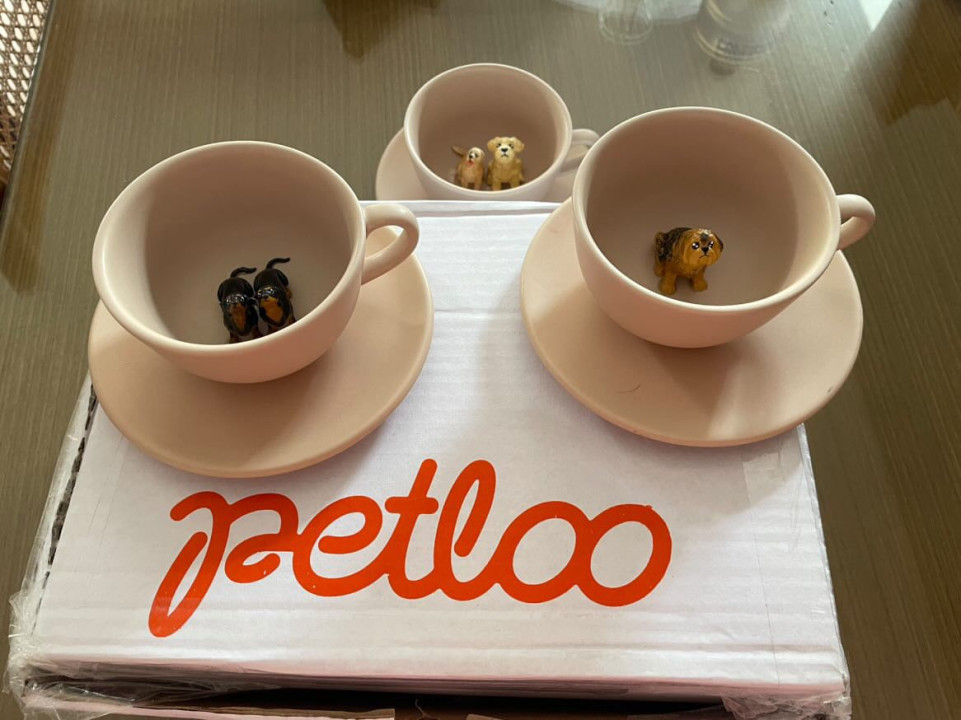 Avaliação de Laís Dórea