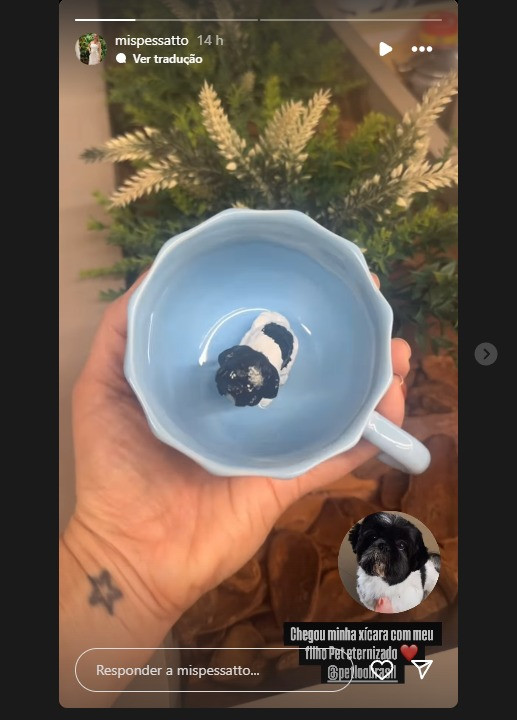 Avaliação de Jessica Mayer