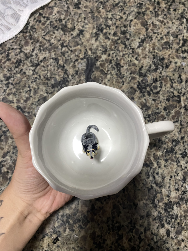 Avaliação de Nicole Scheva