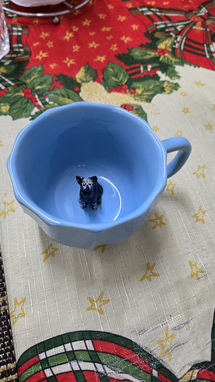 Avaliação de Tânia Almeida