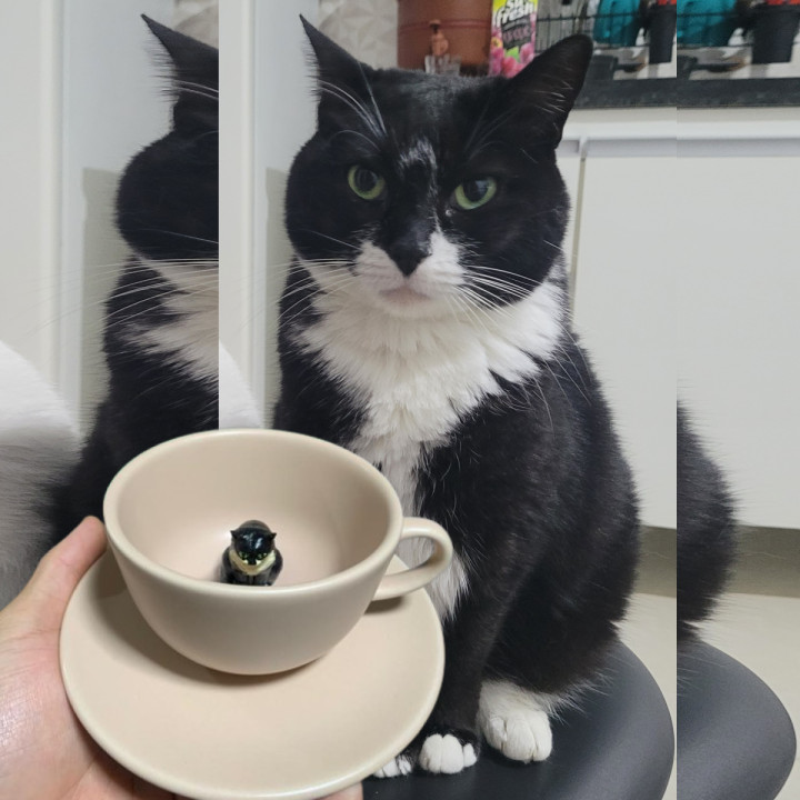 Avaliação de Telma Lima