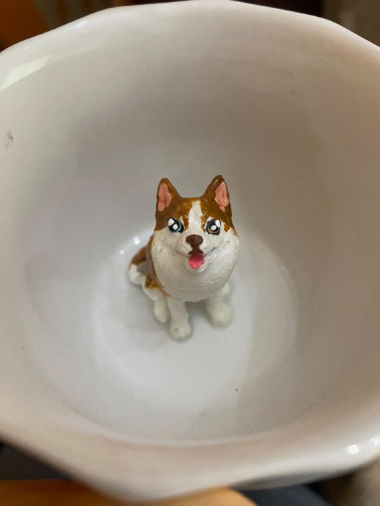 Avaliação de Cecille