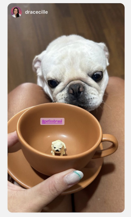 Avaliação de Fernando Costa