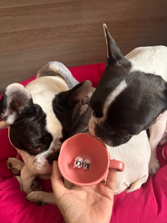 Avaliação de Gabriel Zoppi